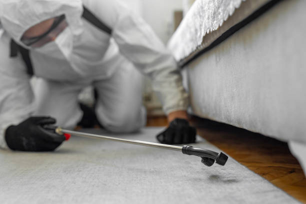 Professional Pest Control technician working in Bedford Hills, NY